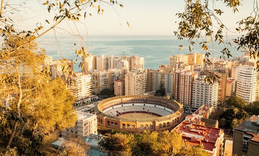 Image 6: Alcazaba a Picasso: Lo mejor de Málaga en un tour autoguiado