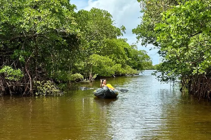 Fort Lauderdale: Kayak/SUP on Mangroves w/ Snacks & Drinks