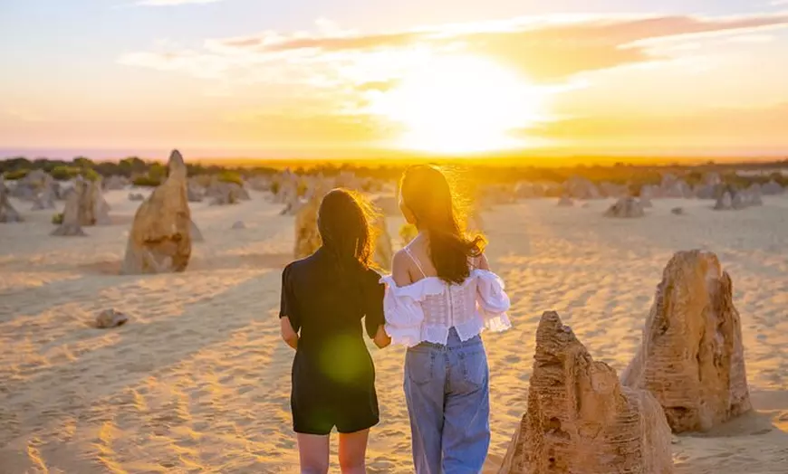 Image 3: Pinnacles Desert Sunset and Stargazing Adventure Tour