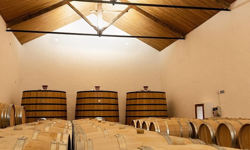 Image 5: Excursión por el viñedo de Valencia : Brunch rústico a la parrilla ...