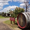 Image 13: Award-Winning Hunter Valley Wine & Cheese Tour from Sydney