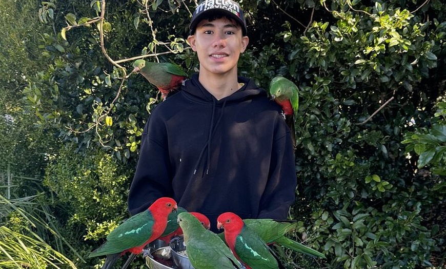 Image 2: Lamington & Tamborine Day Tour: O'Reilly's, Curtis Falls & Sunset