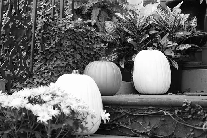 Genteel and Bard's Savannah Dark History and Ghost Encounter Walkin...