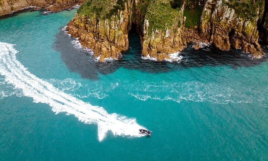 Image 19: Phillip Island Wildlife Tour from Melbourne w/Hop-On Hop-Off Bus