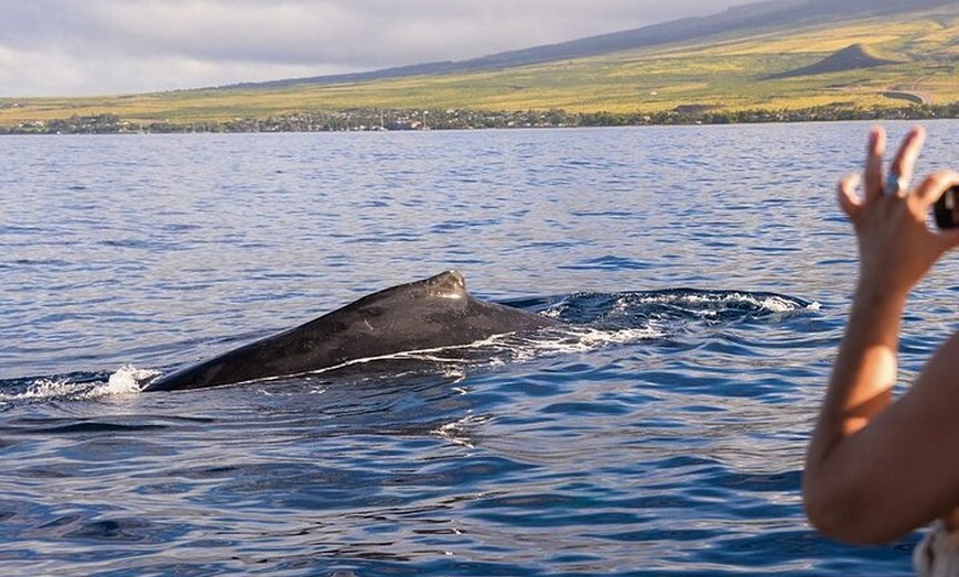 Image 10: Maui Eco-Raft Tour: Hawaiian Cultural Whale Tour (*New)