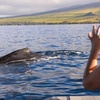 Image 10: Maui Eco-Raft Tour: Hawaiian Cultural Whale Tour (*New)