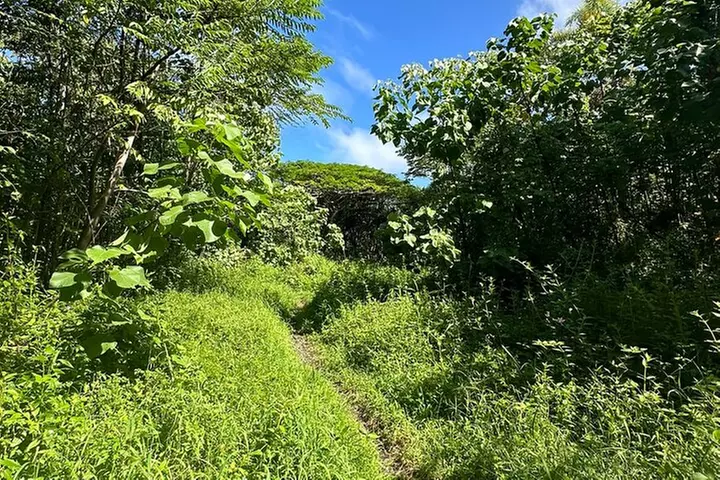 Secret Tide Pool Hike - Jungle & Coast - Private