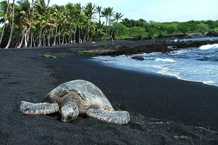 Private Island Tour in Hawaii with Pickup Included - Primary Image