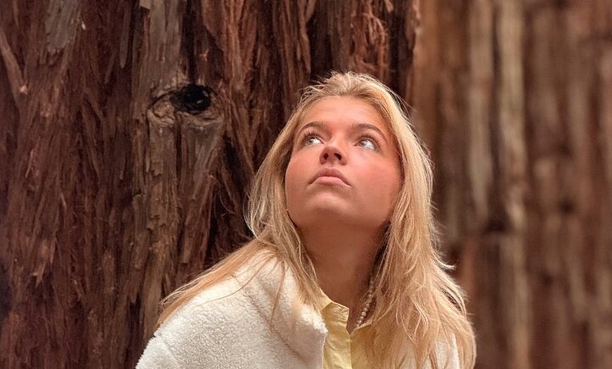 Image 7: Puffing Billy, Forest Trails and Yarra Valley Discovery Tour