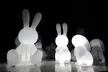 ARTE MUSEUM Immersive Media Art Exhibition in NYC - Second Medium