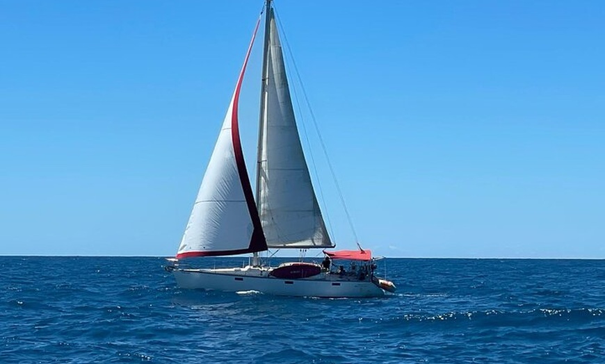 Image 13: Tour privado en velero con aperitivo en Barcelona
