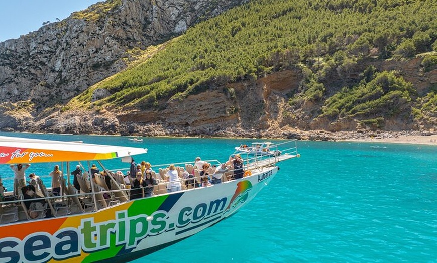 Image 14: Dolphin Adventure : Avistamiento de Delfines en Barco Rápido en Mal...