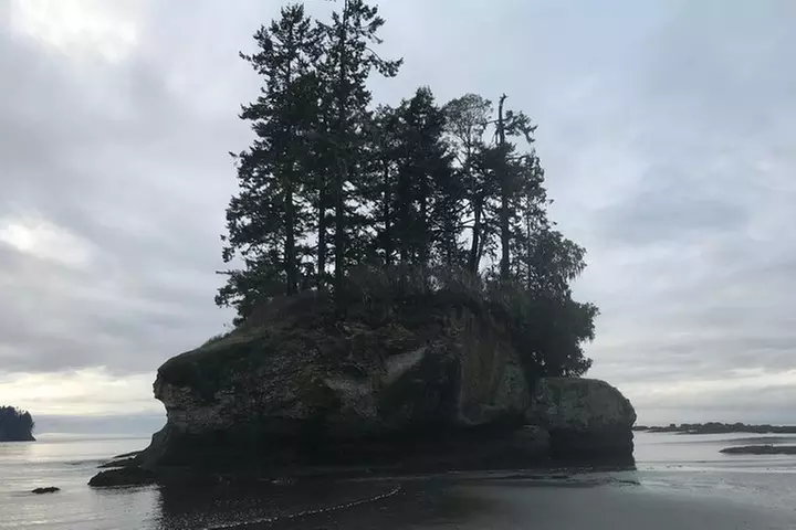 Olympic National Park Day Tour from Seattle
