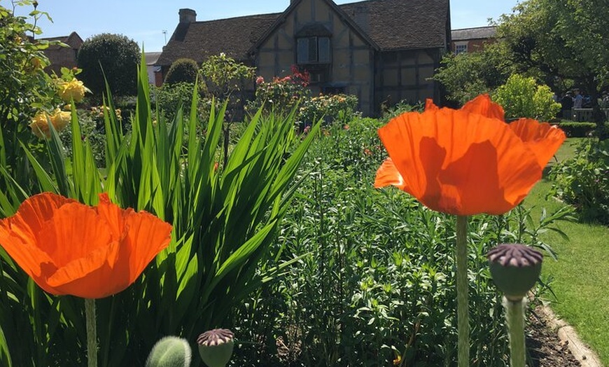 Image 3: Shakespeare's Birthplace