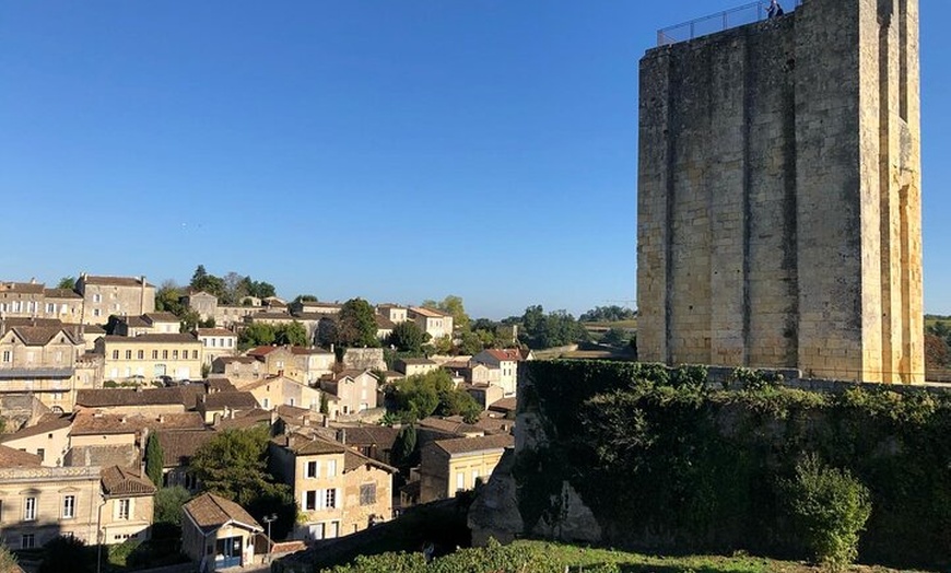 Image 9: Visite des Vignobles Journée Saint Emilion et Médoc