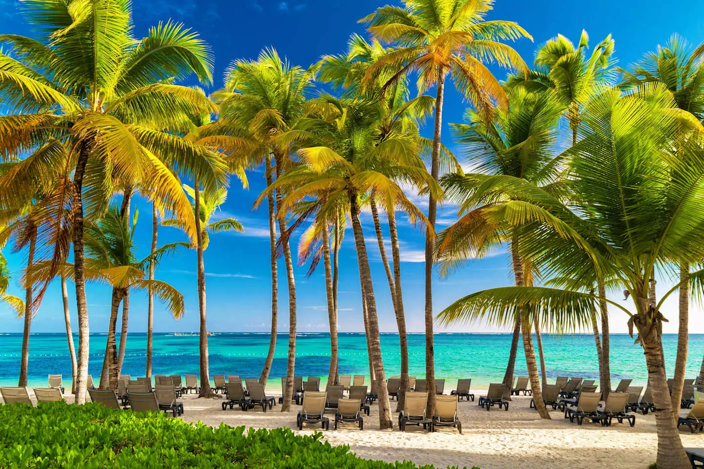 ✈ DOMINIKANISCHE REPUBLIK | Punta Cana - Das Wichtigste über die Do...