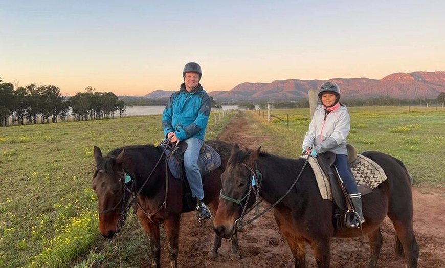 Image 2: Hunter Valley Horse Ride - 90 Minutes -Vineyard & Mountain Views