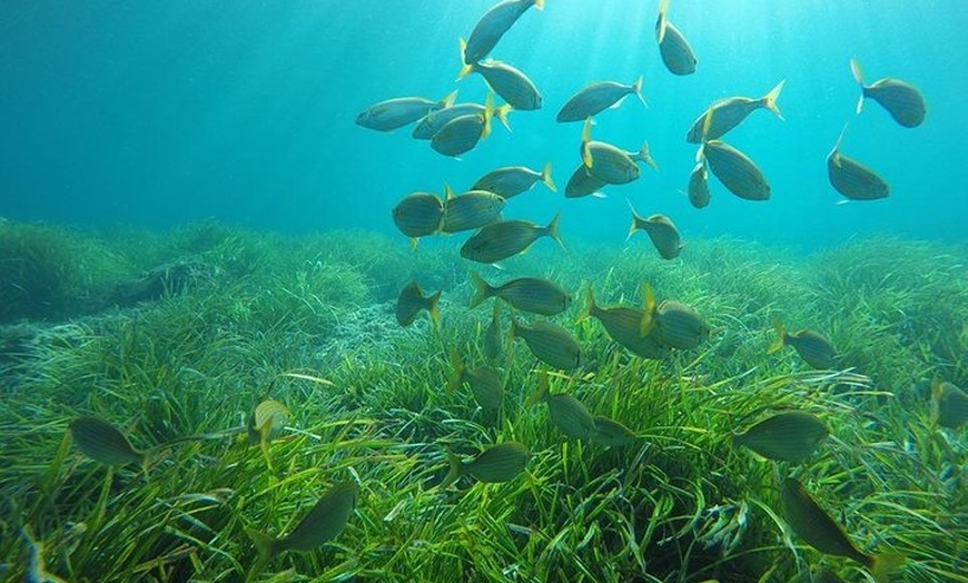 Image 14: Tour Familiar en Kayak y Snorkel en San Jose Cabo de Gata
