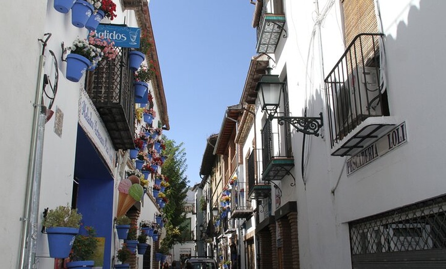 Image 4: Albaicina y Sacromonte - El encanto de Granada