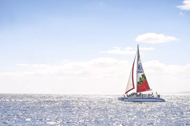 Waikoloa Turtle Catamaran Snorkel Sail