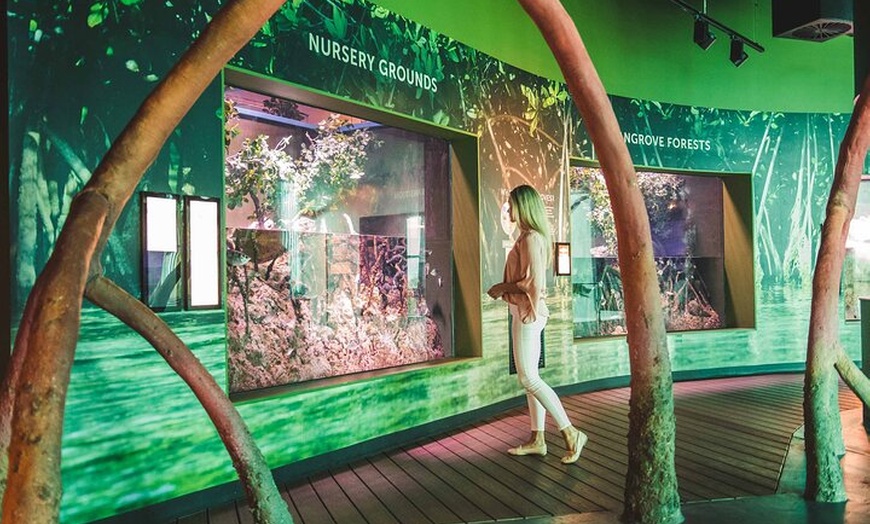 Image 2: Tomb of the Pharaohs and Cairns Aquarium Combo