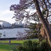 Image 17: Sydney Your Way: Customisable Private Tour