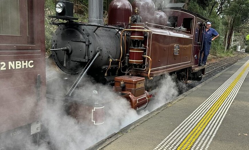 Image 8: Private Puffing Billy Steam Train and Healesville Sanctuary Tours