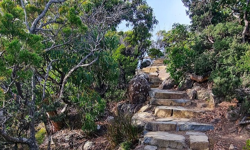 Image 7: Hobart: Cape Hauy Adventure Hike - rugged cliffs & wild beauty