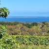 Image 14: Mornington Peninsula Private Wine Tour. Your day. Your Way.