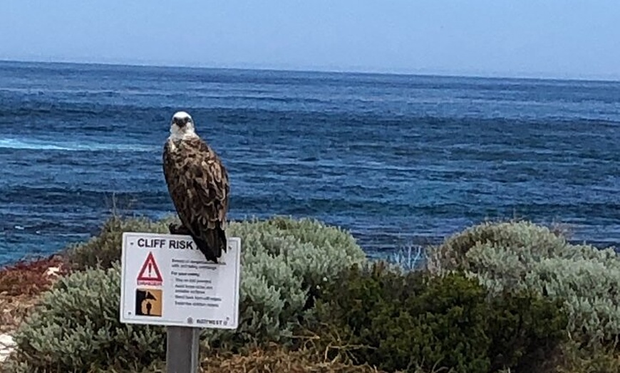 Image 7: Perth Electric Bike Tours