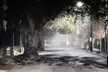 Original Driving Ghost Tour of Charleston - Second Medium