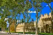 Visite à pied d'Avignon avec audioguide sur votre smartphone - Second Medium