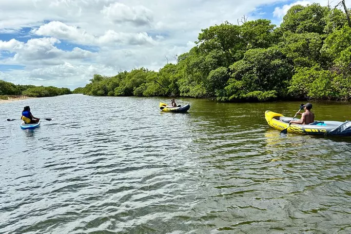 Fort Lauderdale: Kayak/SUP on Mangroves w/ Snacks & Drinks