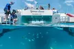 Culebra Snorkeling Tour by Catamaran from Fajardo - Second Medium