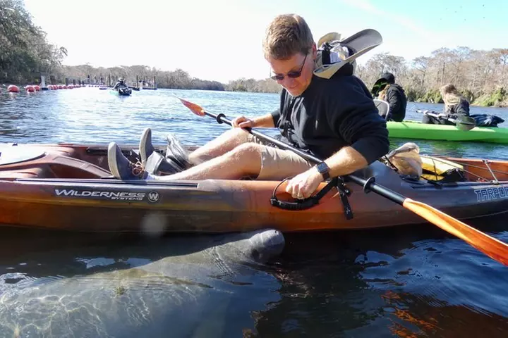 Small Group Manatee Discovery Kayak Tour near Orlando