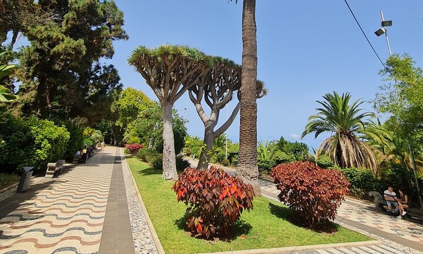 Image 3: Descubre Gran Canaria: Tour Privado Pueblos Icónicos y Picnic