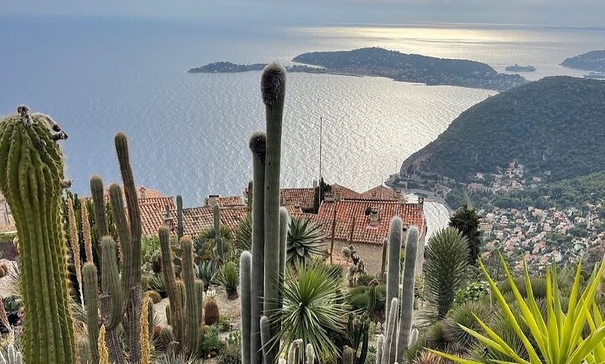 Image 23: Visite privée de Monaco, Cannes et Eze au départ de Nice