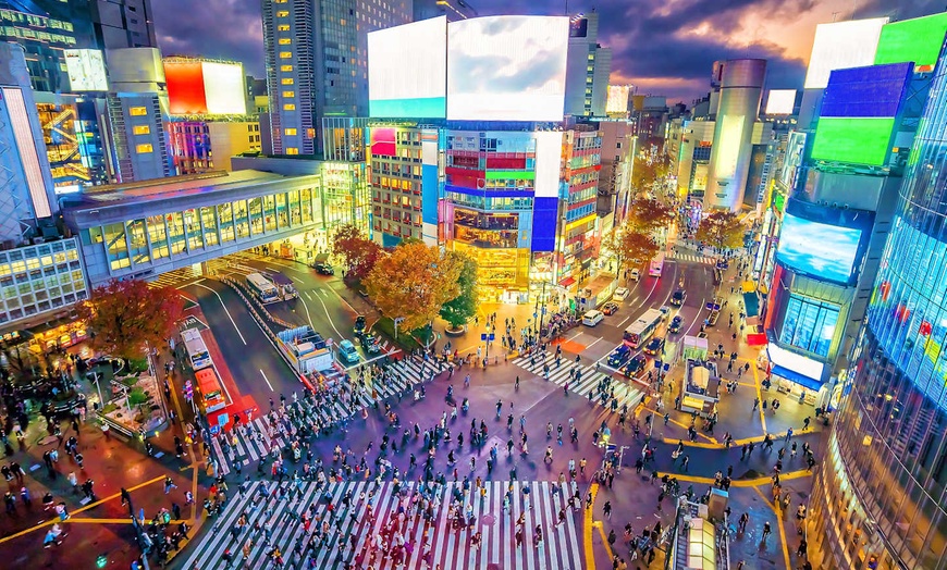 Image 3: ✈ JAPAN | Von Tokio nach Osaka - Eine authentische Reise nach Japan...