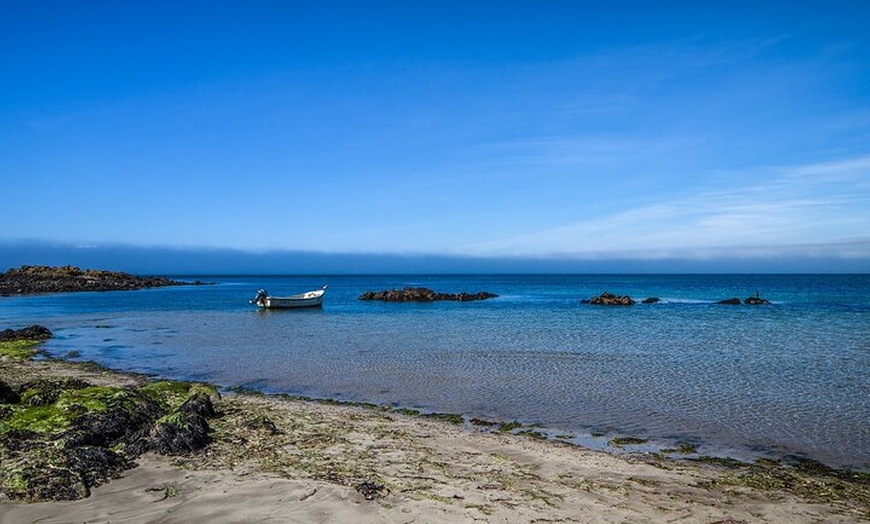 Image 5: 2 Day Private Tour of Mull, Iona and the Scottish Highlands