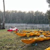 Image 1: 3 Day Guided Kayak Camping Adventure on the Clyde River