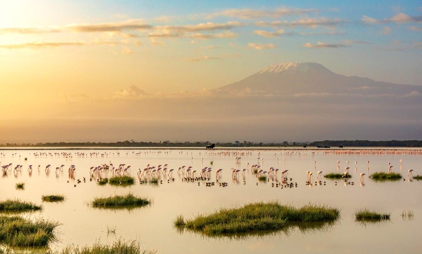 Image 7: ✈ TANZANIE | Du Kilimanjaro à Nairobi - Des hauteurs du Kilimandjar...
