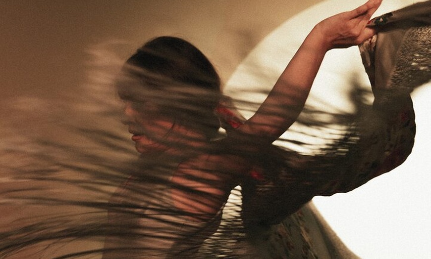 Image 7: Entrada al Centro Cultural Flamenco de Madrid