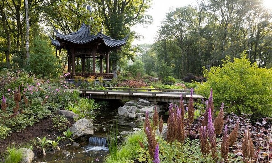 Image 5: RHS Garden Bridgewater