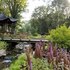 Image 5: RHS Garden Bridgewater