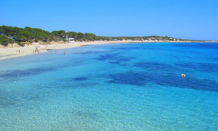 Image 9: Ibiza Vuelta Isla en Bus con visita a Mercadillo Hippie