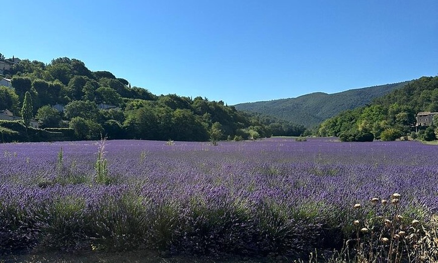 Image 2: Élégance provençale Huile d'olive de lavande et pistache