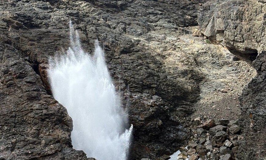 Image 8: Jervis Bay and Shoalhaven South Coast NSW Private Tours