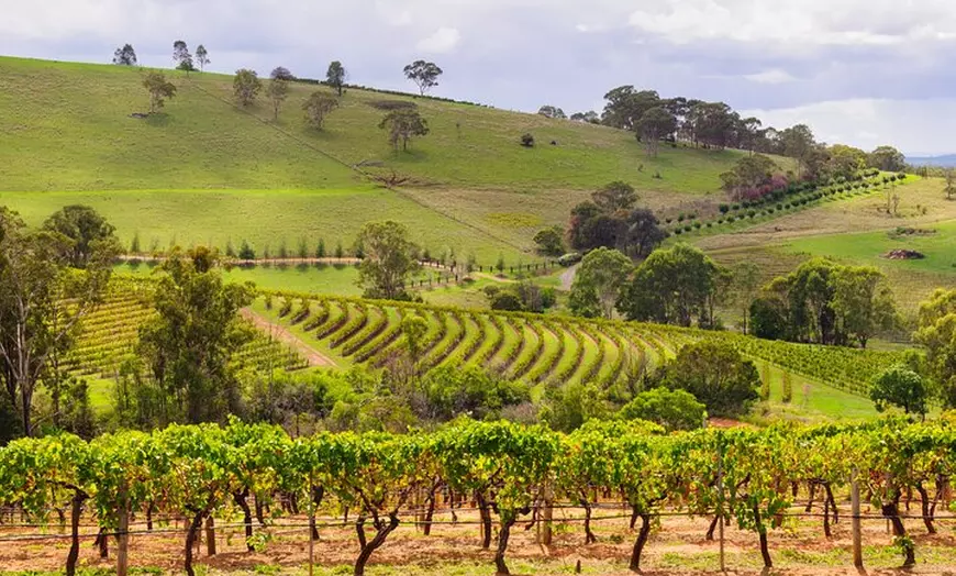 Image 7: Hunter Valley Private Tours from Sydney - Premium Wine Tasting