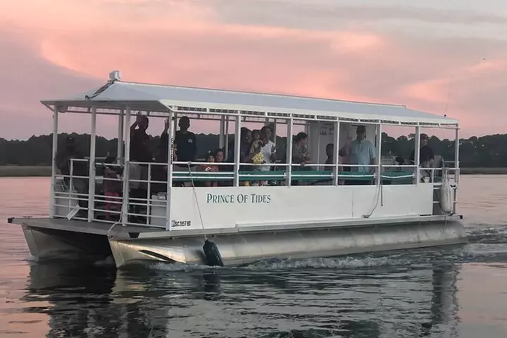Private Dolphin Tour up to 24 passengers