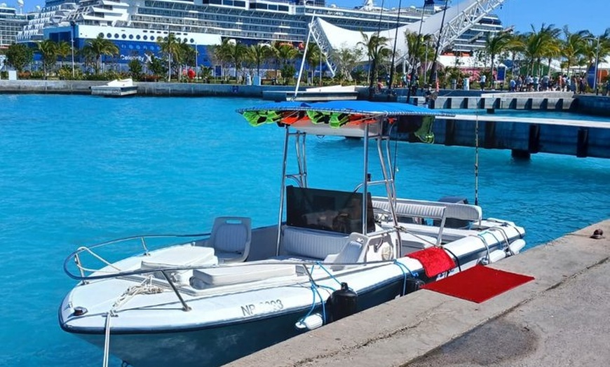 Image 4: Green Cay Boat Tour from Nassau